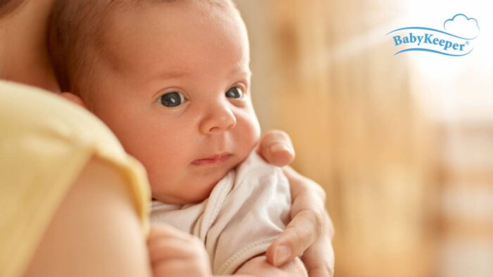 Las ventanas de sueño Babykeeper